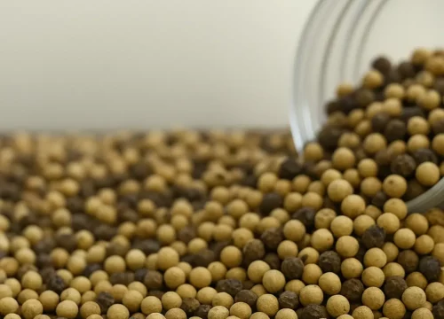 peper-wit-heel-specerijen-notenchefs